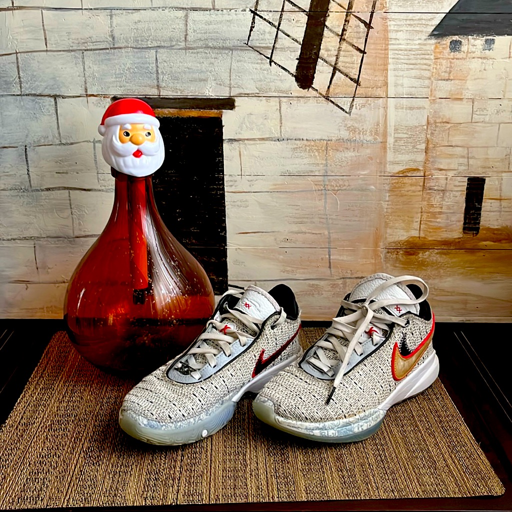 Lebron Nike